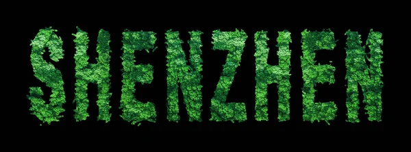 Shenzhen Schriftzug Shenzhen Forest Ökologie Konzept Auf Schwarz Clipping Path — Stockfoto