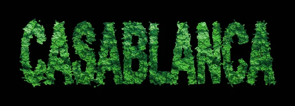Casablanca lettering, Casablanca Forest Ecology Concept on Black,, Clipping Path