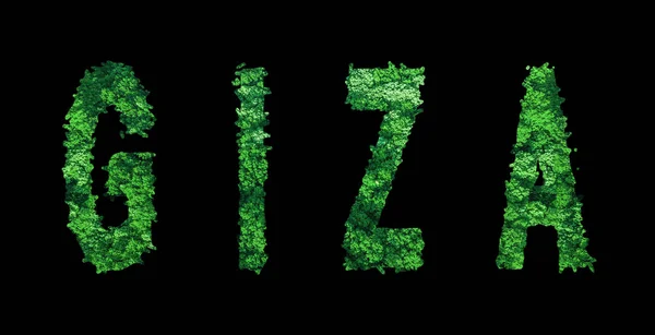 Gizeh Schriftzug Gizeh Forest Ökologiekonzept Auf Schwarz Clipping Path — Stockfoto