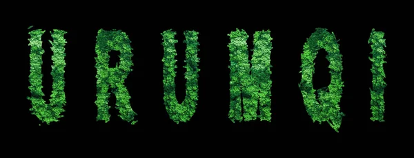 Γράμματα Urumqi Οικολογία Δάσους Urumqi Concept Black Clipping Path — Φωτογραφία Αρχείου