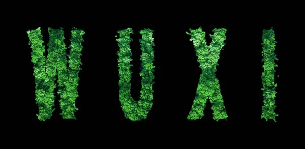 Wuxi Lettering Wuxi Forest Ecology Concept Black Clipping Path — Foto Stock