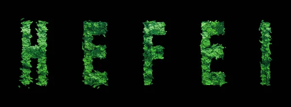 Hefei Lettering Hefei Forest Ecology Concept Black Clipping Path — Stock Photo, Image