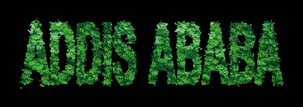 Аддис Абеба Аддис Абеба Концепция Экологии Леса Черном Обрезка Пути — стоковое фото