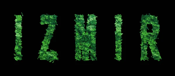 Izmir Lettering Izmir Forest Ecology Concept Black Clipping Path — стокове фото