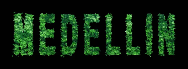 stock image Medellin lettering, Medellin Forest Ecology Concept on Black, Clipping Path