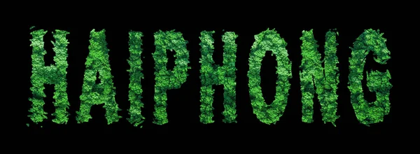 stock image Haiphong lettering, Haiphong Forest Ecology Concept on Black, Clipping Path