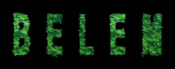 stock image Belem lettering, Belem Forest Ecology Concept on Black, Clipping Path