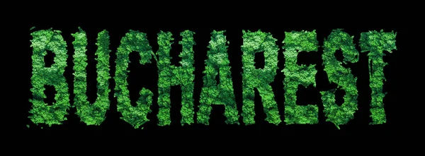 Bükreş antlaşması, Bükreş Ormanı Ekolojisi Siyahi, Kırpma Yolu Kavramı