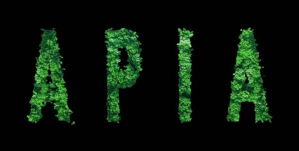 Apia Liternictwo Apia Forest Ekologia Concept Black Ścieżka Clipping — Zdjęcie stockowe