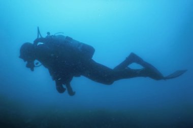 Scuba Dalgıcı Sualtında Yüzüyor Resifi Keşfediyor ve Denize İnceleme Yapıyor