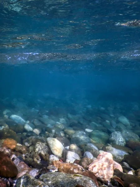 河床の岩水中 川の淡水水中 透明な水 河床の小石 — ストック写真