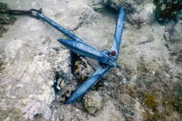 Anchor Lying Seabed Underwater Life — Stock Photo, Image