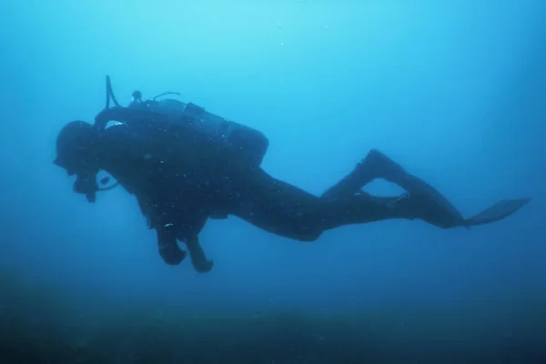 stock image Scuba Diver Swimming Underwater Explores Reef and Examines Seabed