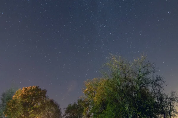 美丽的夜空 银河和树木 秋季版 — 图库照片