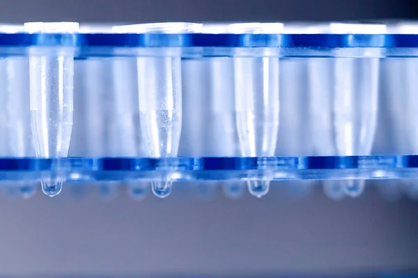 Wissenschaft Kunststoff Testzentrifugenröhrchen — Stockfoto