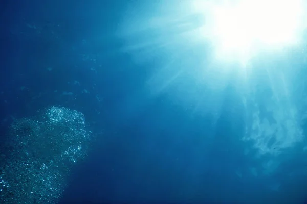 Подводный Пейзаж Солнечный Свет Рыба Подводная Жизнь — стоковое фото