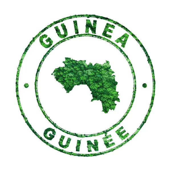Mapa Guiné Carimbo Postal Desenvolvimento Sustentável Conceito Emissão Co2 Caminho — Fotografia de Stock
