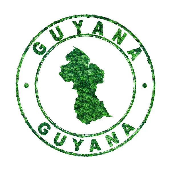 Mapa Guiana Carimbo Postal Desenvolvimento Sustentável Conceito Emissão Co2 Caminho — Fotografia de Stock