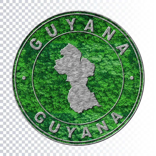 Mapa Guiana Conceito Meio Ambiente Conceito Emissão Co2 Caminho Recorte — Fotografia de Stock