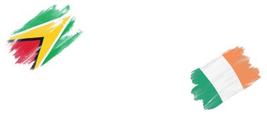 Beyaz Arkaplanda Guyana ve İrlanda Bayrakları
