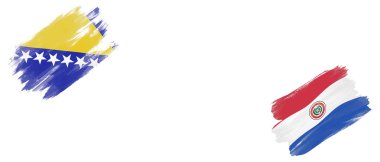 Beyaz Arkaplanda Bosna-Hersek ve Paraguay Bayrakları