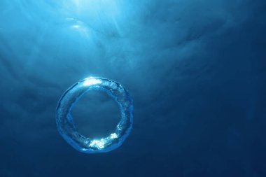 Kabarcık halkası Su altında güneşe doğru yükselir