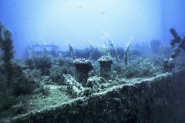 Mavi Sudaki Gemi Enkazı, Büyüyen Mercanlarla Paslı Gemi Enkazı, Sualtı