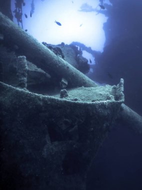 Mavi Sudaki Gemi Enkazı, Büyüyen Mercanlarla Paslı Gemi Enkazı, Sualtı