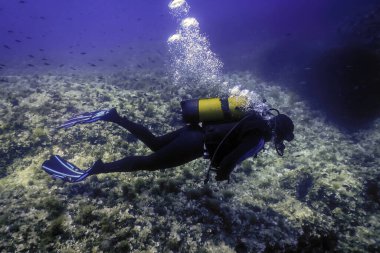Dalgıç Deniz Dibi, dalgıç araştırıyor