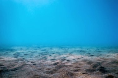 Kumlu deniz tabanı, Deniz altı arka planı