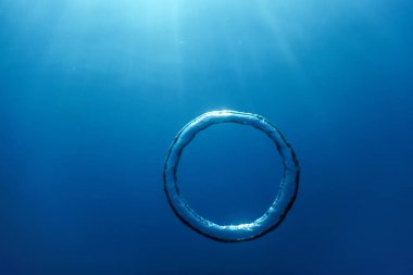 Sualtı Baloncuk Halkası Güneş 'e doğru yükseliyor