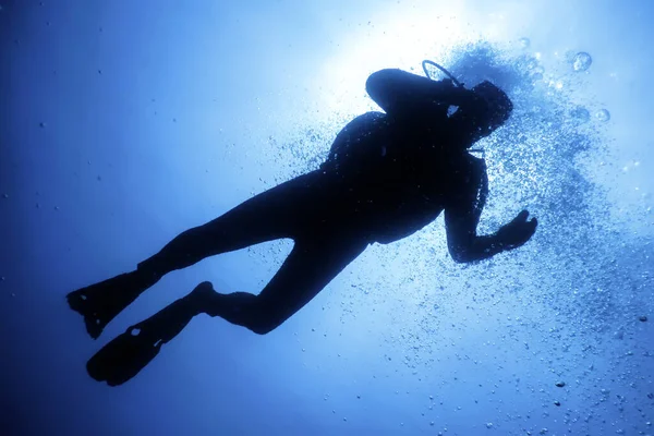 Scuba Diver Silhouettes Clear Blue Water — Stock Photo, Image
