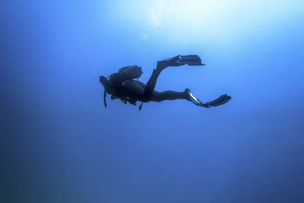 stock image Scuba Diver Sea Bottom, Diver exploring