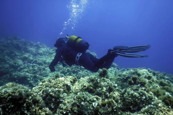 Подводное Плавание Дне Моря Дайвер Исследуя — стоковое фото