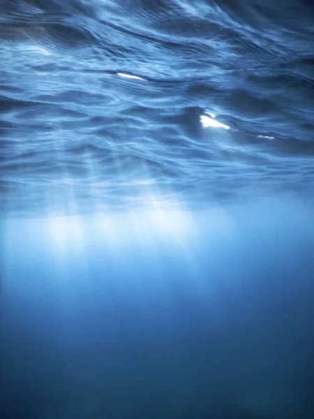 stock image Underwater View of the Sea Surface