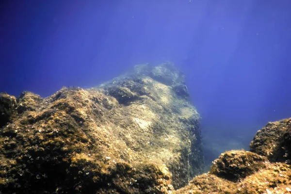 Rocas Fondo Del Fondo Del Océano Vida Submarina — Foto de Stock