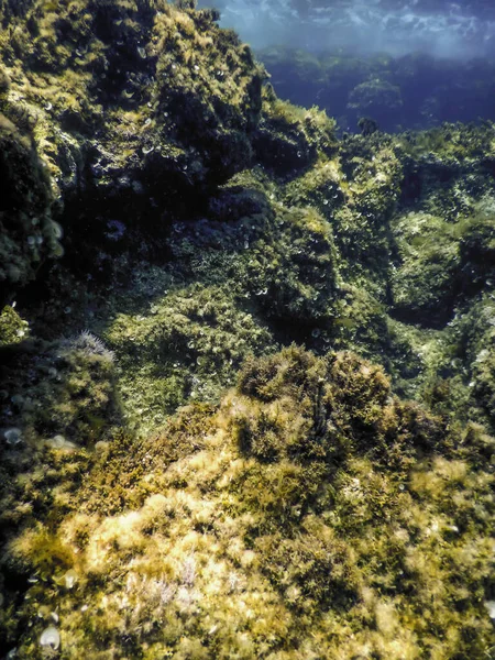 Βράχοι Στο Βυθό Του Πυθμένα Του Ωκεανού Υποβρύχια Ζωή — Φωτογραφία Αρχείου