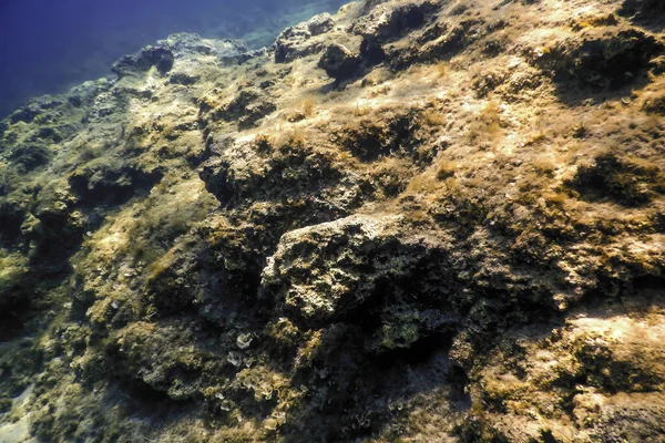 Rocce Sul Fondo Del Fondo Dell Oceano Vita Subacquea — Foto Stock