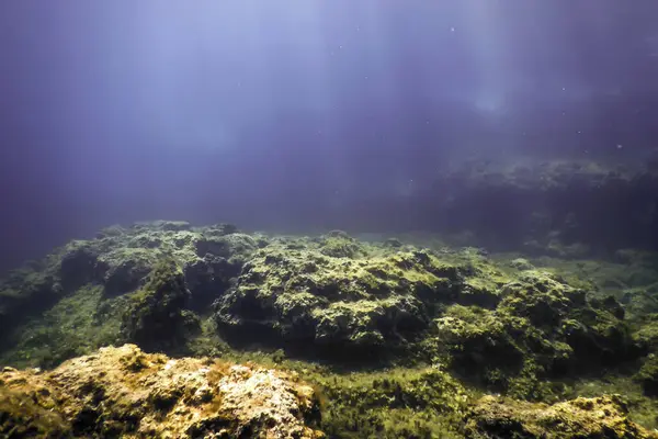 stock image Rocks at Bottom of Ocean Floor, Underwater Life