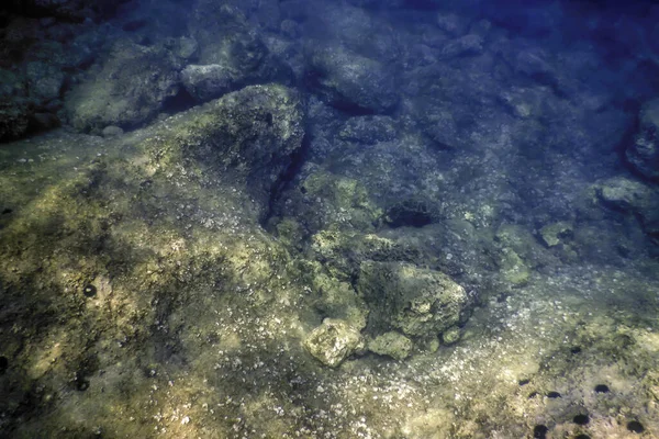 Rocce Sul Fondo Del Fondo Dell Oceano Vita Subacquea — Foto Stock