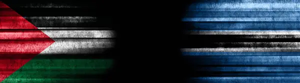 Bandiere Palestina Botswana Sfondo Nero — Foto Stock