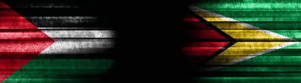 Bandiere Palestina Guyana Sfondo Nero — Foto Stock