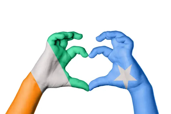 Кот Ивуар Сомали Сердце Жест Рукой Сердце Обрезка Пути — стоковое фото