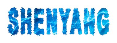 Shenyang Suyu, Shenyang Su Tedarik Yarışması