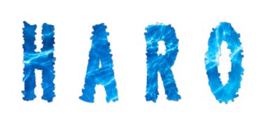 Haro Su, Haro Su Tedarik Yarışması