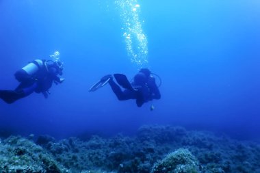 Scuba Dalgıçları Sualtında Yüzüyor Resifi Keşfediyor