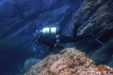 Scuba Dalgıcı Sualtında Yüzüyor Resifi Keşfediyor ve Denize İnceleme Yapıyor