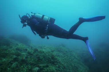 Scuba Dalgıcı Sualtında Yüzüyor Resifi Keşfediyor ve Denize İnceleme Yapıyor
