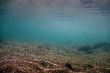 Dağ Nehri Su Altındaki Kayalar Temiz Suyla sığ bir nehir yatağında