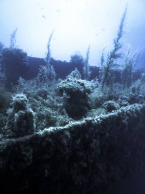 Mavi Sudaki Gemi Enkazı, Büyüyen Mercanlarla Paslı Gemi Enkazı, Sualtı